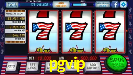 Descubra o Mundo do Cassino Online com pgvip
