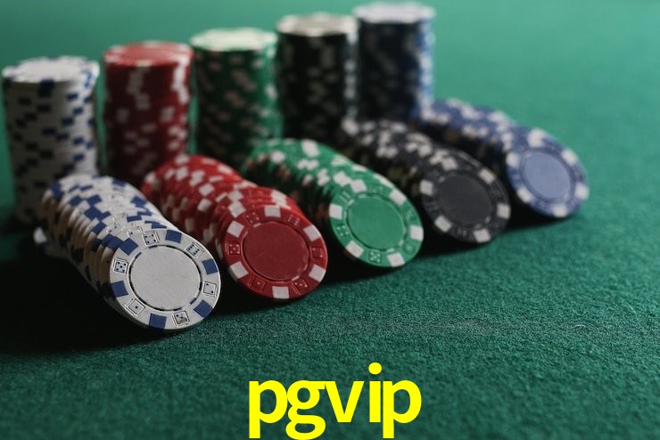 API Integration pgvip